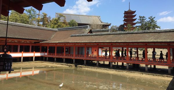 厳島神社・東回廊から千畳閣を見る